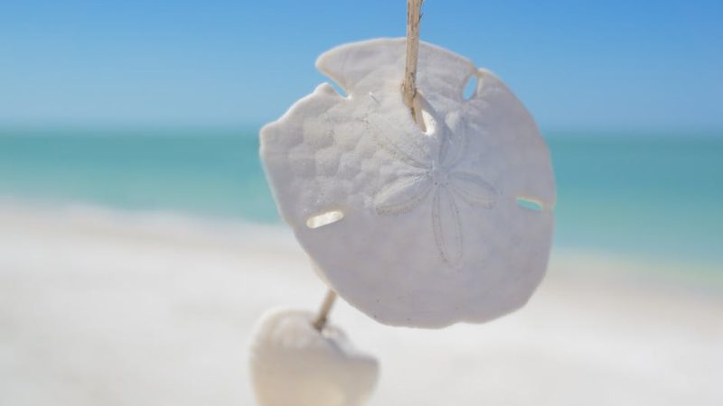 No Deposit Bonus 777color: Best Strategies for Filipinos